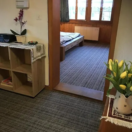 Beim Faulensee 2-bett 1 Stock Ost Apartment Grindelwald